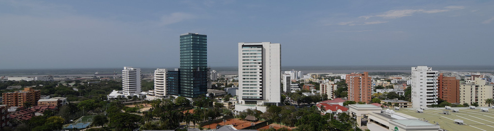 Nuestros Abogados son especialistas en diferentes